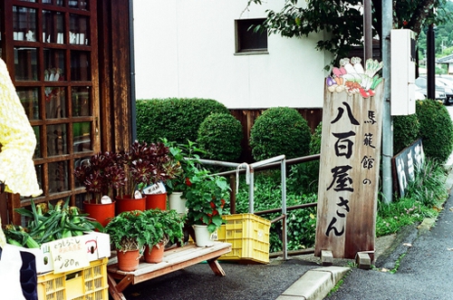 人一走，茶就凉，是自然规律；人没走，茶就凉，是世态炎凉。<br />
