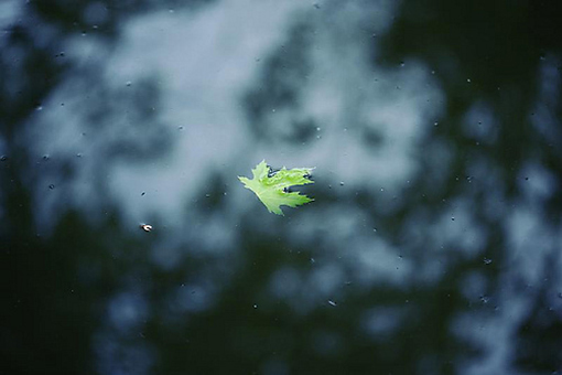 对于爱情或友情，我只相信一句话：日久见人心，留到最后的才是好的。我会冷暖自知，更会好自为之。<br />
