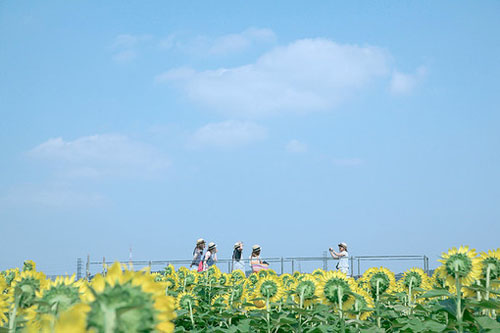 放不下大概是因为杯子里的水不够烫手吧<br />
