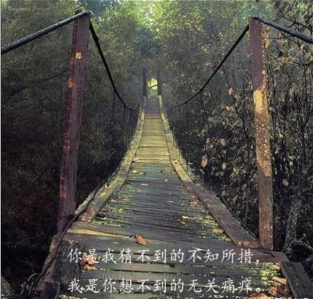 自有明月照山河，自有山河映明月。<br />
