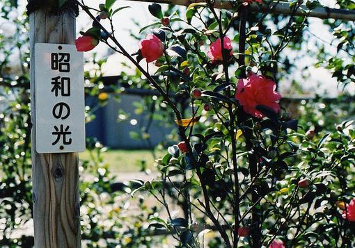 爱是一万次破碎和一万零一次治愈。<br />
