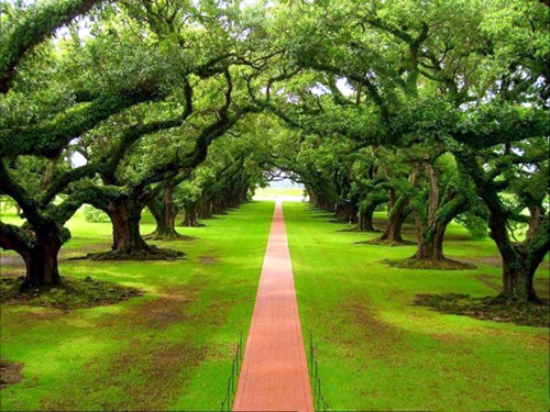 改变不了的事就别太在意，留不住的人就试着学会放弃，受了伤的心就尽力自愈，除了生死，都是小事，别为难自己。<br />
