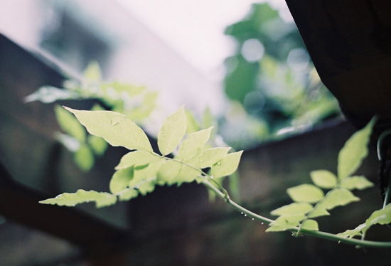 雨过天晴的那一刻，彩虹会迎接你的微笑.<br />
