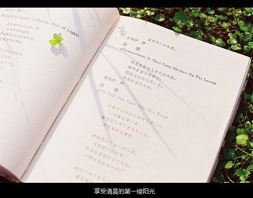 其实活着还真是件美好的事，不在于风景多美多壮观，而是在于遇见了谁，被温暖了一下，然后希望有一天自己也成为一个小太阳，去温暖别人。<br />
