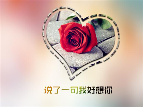 <br />
	自由和快乐才是生活<br />
