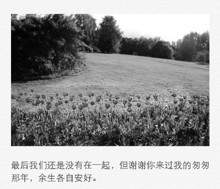 <br />
	最后，我对你的感受，居然数再也掀不起一丝波澜。<br />
