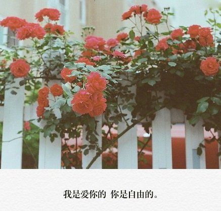 不要因为一点小事就烦躁不堪，不要碰到一点困难就一蹶不振，想要走出黑暗，只有自己站起来，因为没有人能帮你，只有你自己能救自己。<br />
