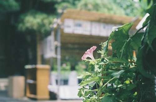 这个城市没了你，好像连呼吸都觉得牵强。<br />
