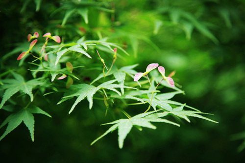 多巴胺的绑架没有救赎，我们只是上瘾的囚徒。<br />
