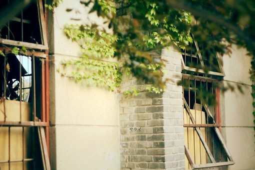 倘若心中愿意，道路千千条。倘若心中不愿意，理由万万个。一切问题，最终都是时间问题。一切烦恼，其实都是自寻烦恼。<br />
