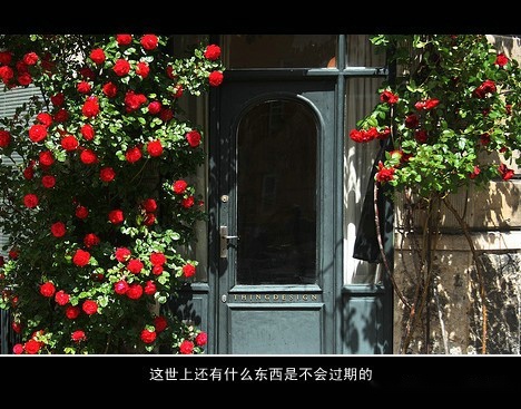 还是瘦点好，太重了容易坠入爱河。<br />
